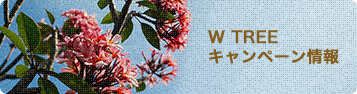 W TREEキャンペーン情報